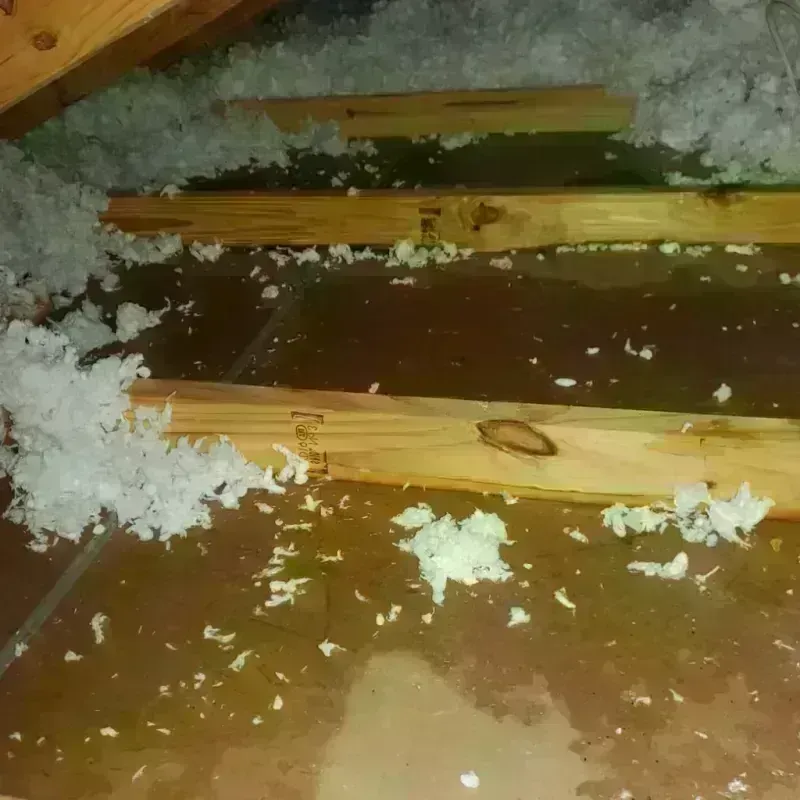 Attic Water Damage in Lincoln City, OR